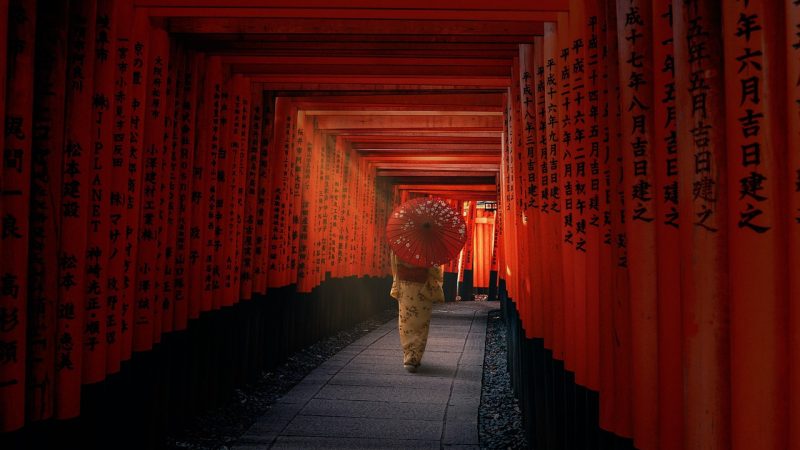 稻荷 galgame 分支与路线结构说明:选择到 配图